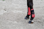 EQUITHÈME Tendon Boots - Tara - Image 6