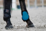 EQUITHÈME Fetlock Boots - Tara