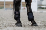 EQUITHÈME Fetlock Boots - Tara - Image 4