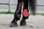 EQUITHÈME Fetlock Boots - Tara - Image 7