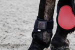 EQUITHÈME Fetlock Boots - Tara - Image 8
