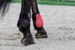 EQUITHÈME Fetlock Boots - Tara - Image 9