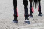 EQUITHÈME Fetlock Boots - Tara - Image 10
