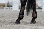 EQUITHÈME Fetlock Boots - Tara - Image 12