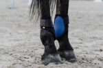 EQUITHÈME Fetlock Boots - Tara - Image 15