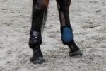 EQUITHÈME Fetlock Boots - Tara - Image 17