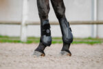 Je t'aime EQUITHÈME Tendon Boots and Fetlock Boots - Image 7
