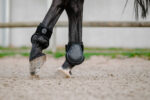 Je t'aime EQUITHÈME Tendon Boots and Fetlock Boots - Image 8