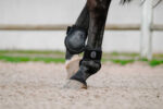 Je t'aime EQUITHÈME Tendon Boots and Fetlock Boots - Image 9