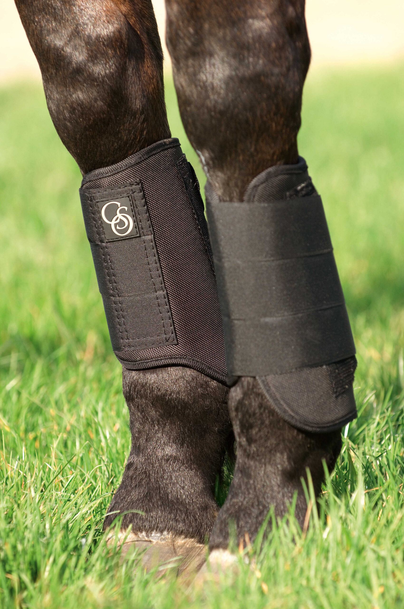 NORTON -1680 D- cross gaiters, front