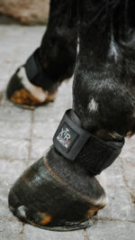 Protège paturon NORTON - XTR Gel