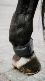 Protège paturon NORTON - XTR Gel - Image 2