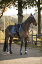 LAMI-CELL dressage gaiters - LC - Image 6