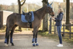 LAMI-CELL dressage gaiters - LC - Image 7