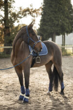 LAMI-CELL dressage gaiters - LC - Image 8