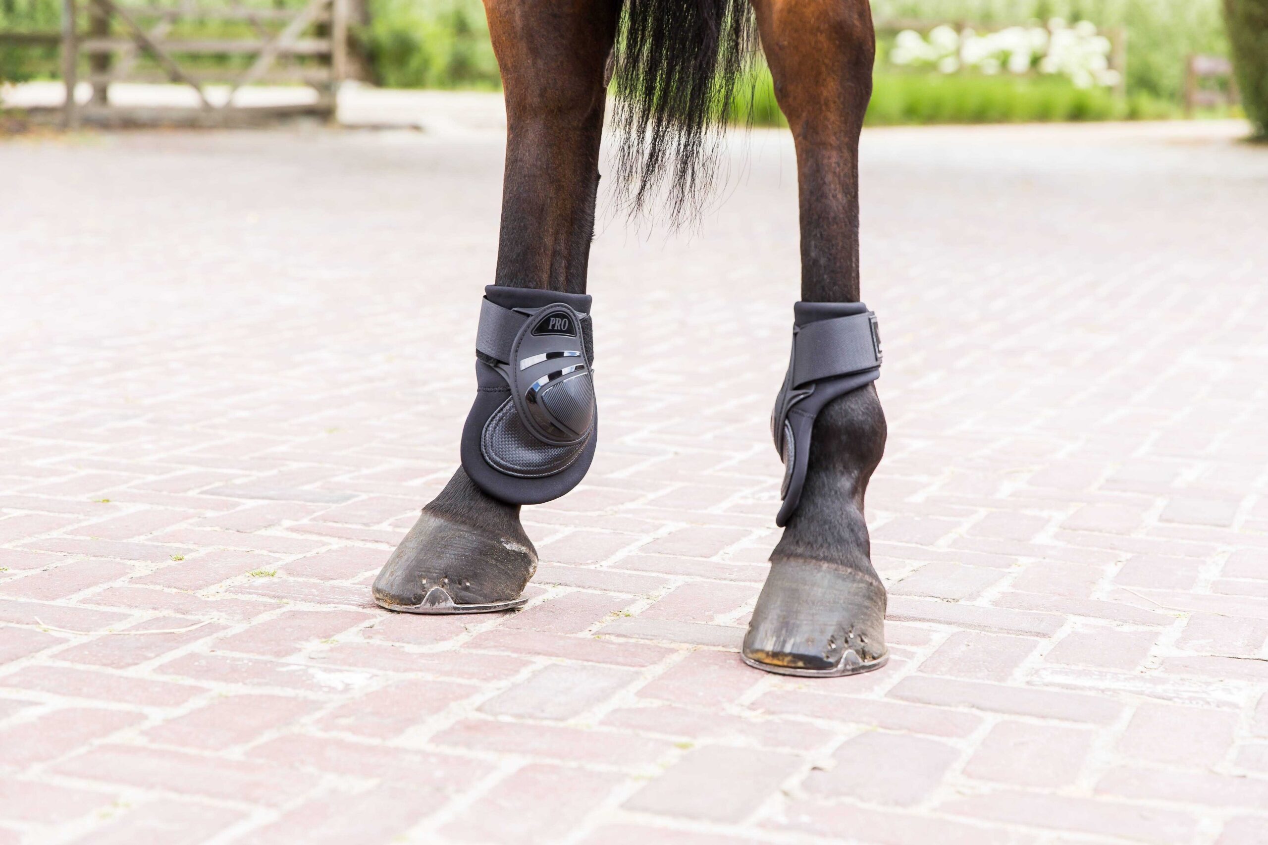 550136202_ambi_1 Fetlock boots LAMI-CELL - Power Deep V22 - Image 1