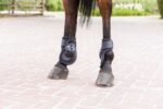 Fetlock boots LAMI-CELL - Power Deep V22 - Image 6