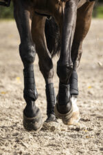 Closed gaiters LAMI-CELL - V22 Brushing Boots - Image 10