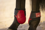 Tendon boots with fetlock protection LAMI-CELL - Elite - Image 2