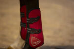 Tendon boots with fetlock protection LAMI-CELL - Elite - Image 3