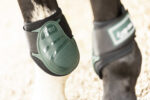 Tendon boots with fetlock protection LAMI-CELL - Elite - Image 10