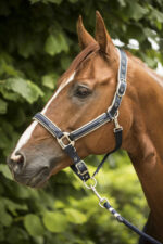 LAMI-CELL halter - Elegance - Image 6