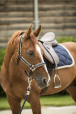 LAMI-CELL halter - Elegance - Image 10