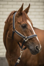 LAMI-CELL halter - Elegance - Image 16