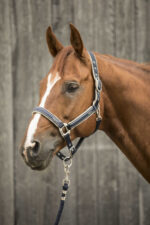 LAMI-CELL halter - Elegance - Image 20