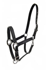 Licol LAMI-CELL - Sparkling - Image 7