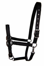 Licol LAMI-CELL - Sparkling - Image 9