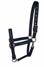 Licol LAMI-CELL - Sparkling - Image 14