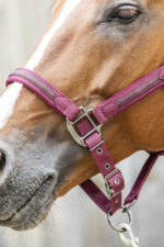 Licol LAMI-CELL - Sparkling - Image 17