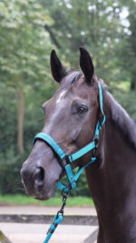 LAMI-CELL tie-up rope - Charming