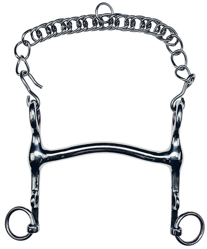 FEELING curb bit to bridge