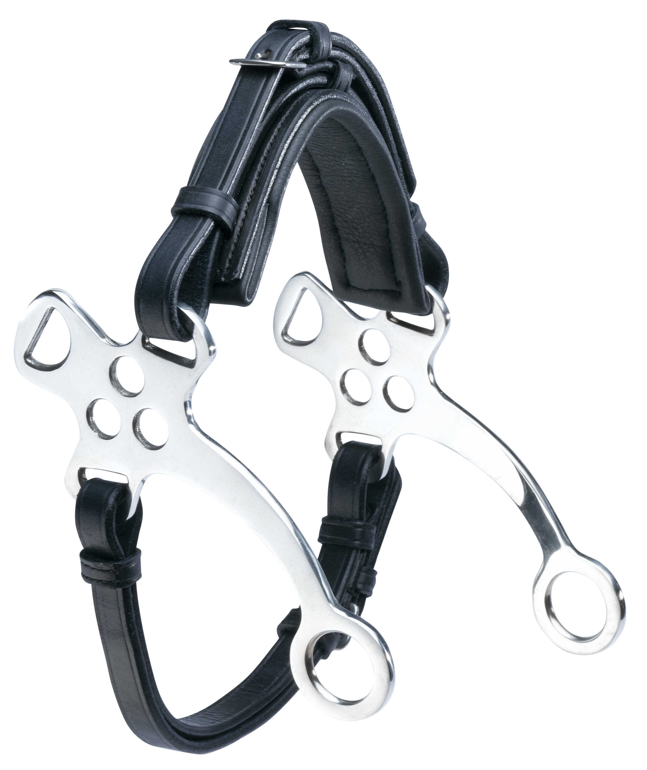 Hackamore ERIC THOMAS Edelstahl