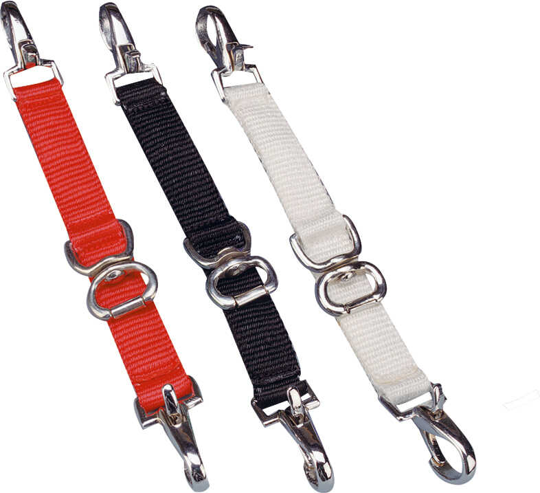 NORTON CLUB Nylon lungeing goggles