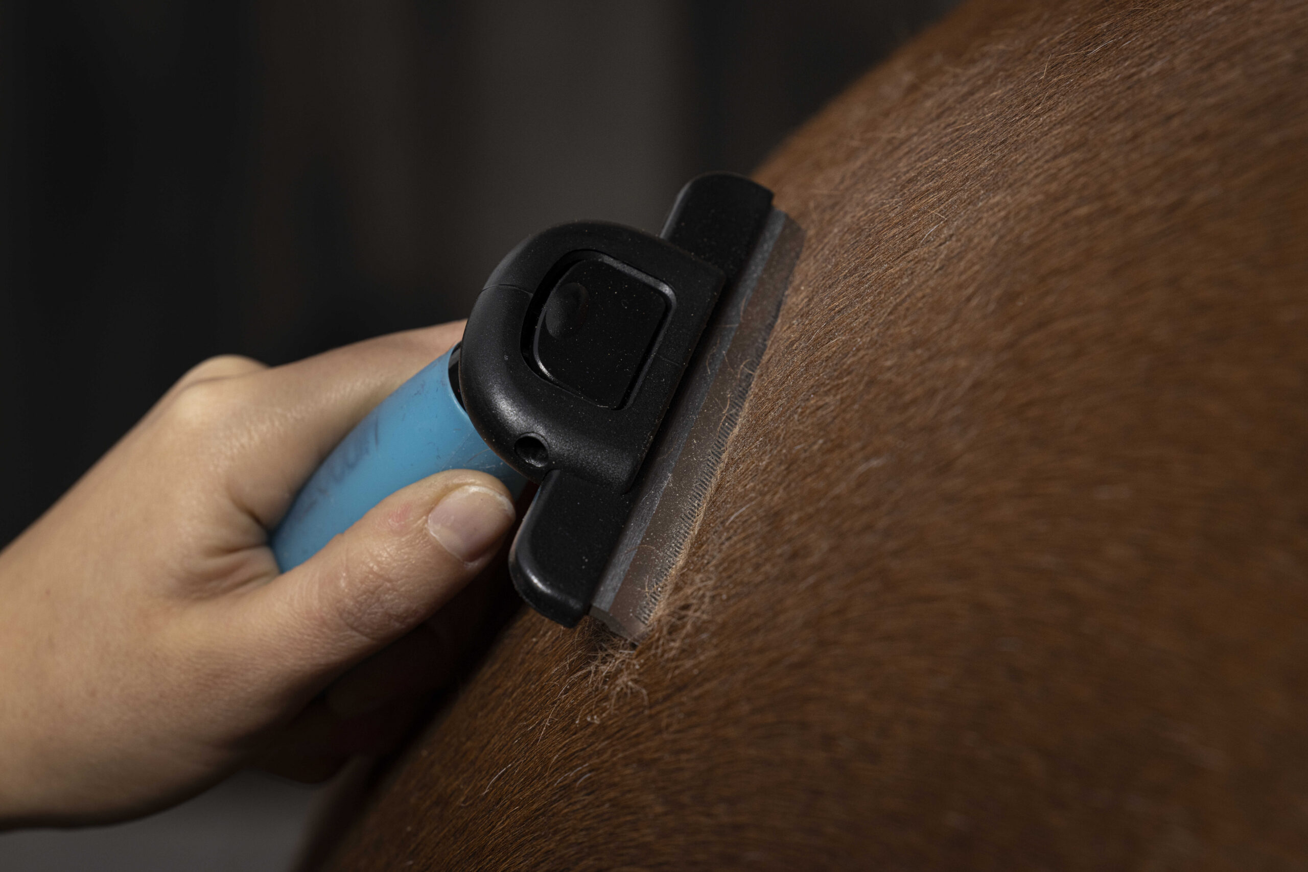 HIPPOTONIC – Shedding Comb – Gel