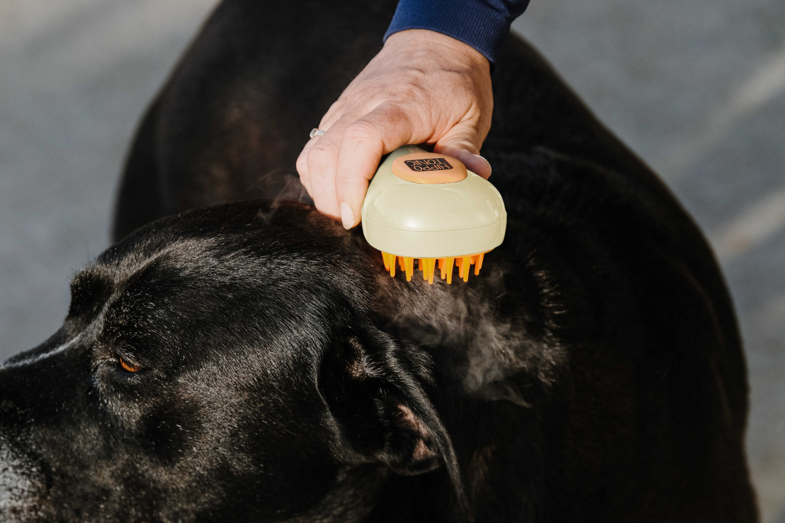 HIPPOTONIC - Vapeur - Curry Comb