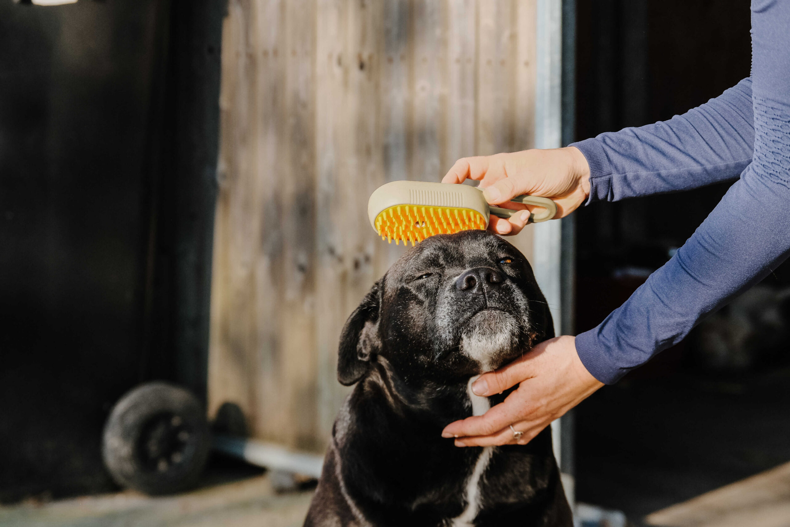 HIPPOTONIC - Vapeur - curry comb with handle