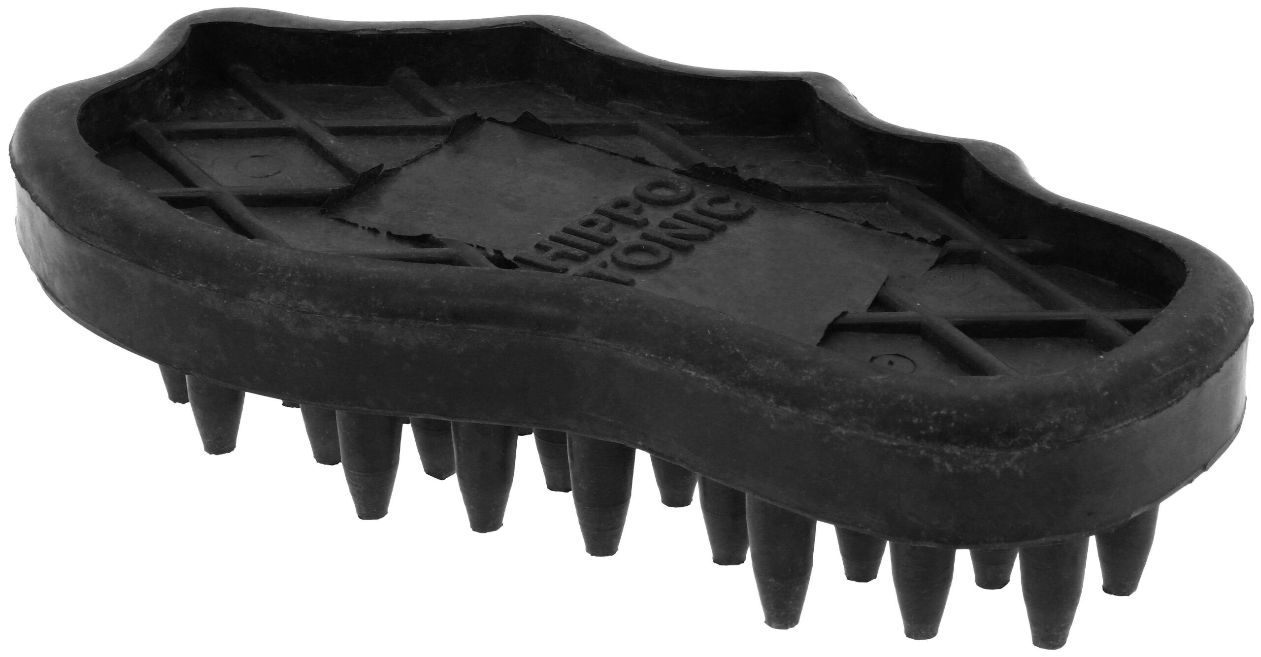 Brosse de massage HIPPOTONIC - Gros pics