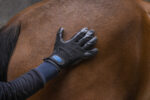 HIPPOTONIC coat change grooming gloves