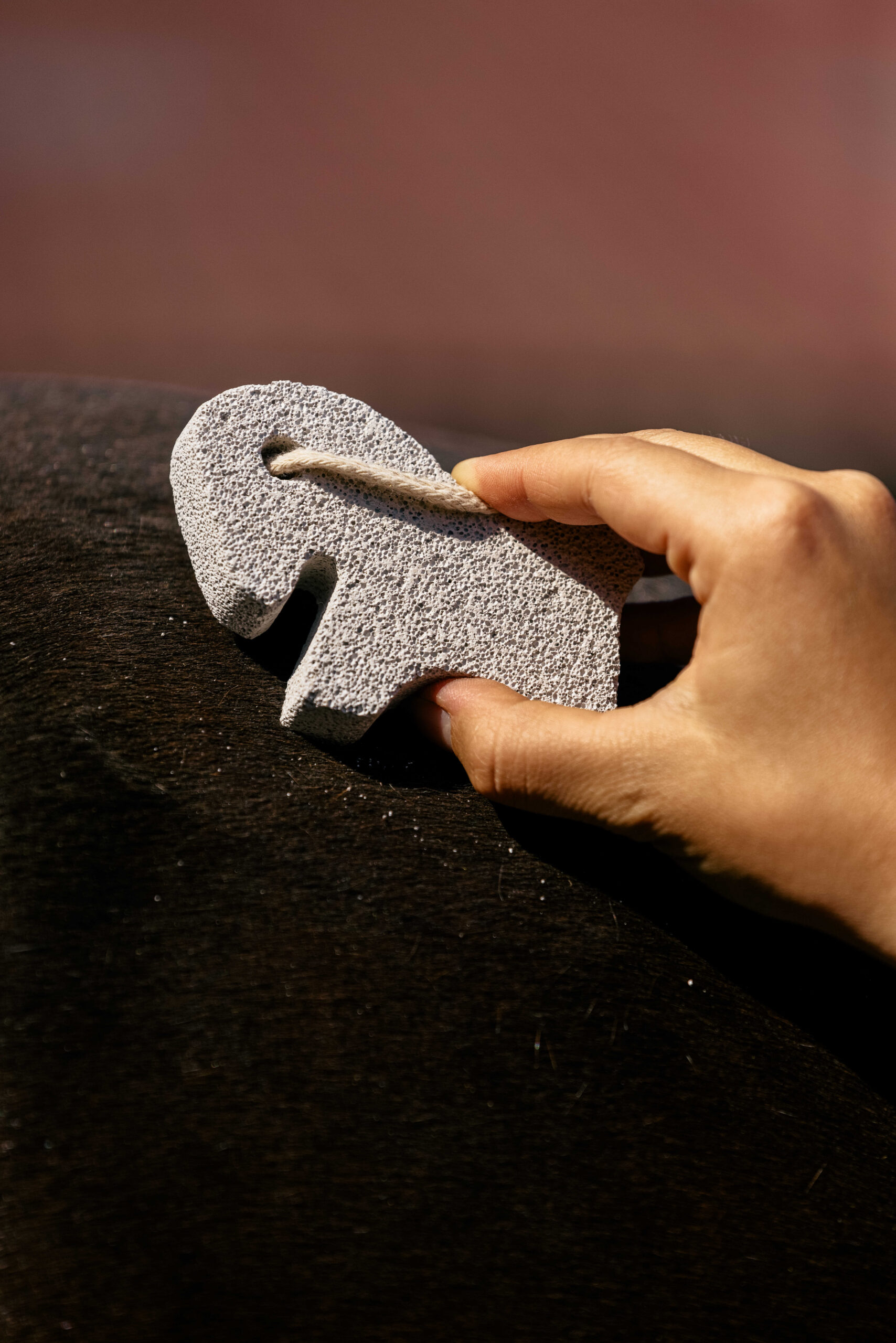 HIPPOTONIC - Horse - Cleaning Stone