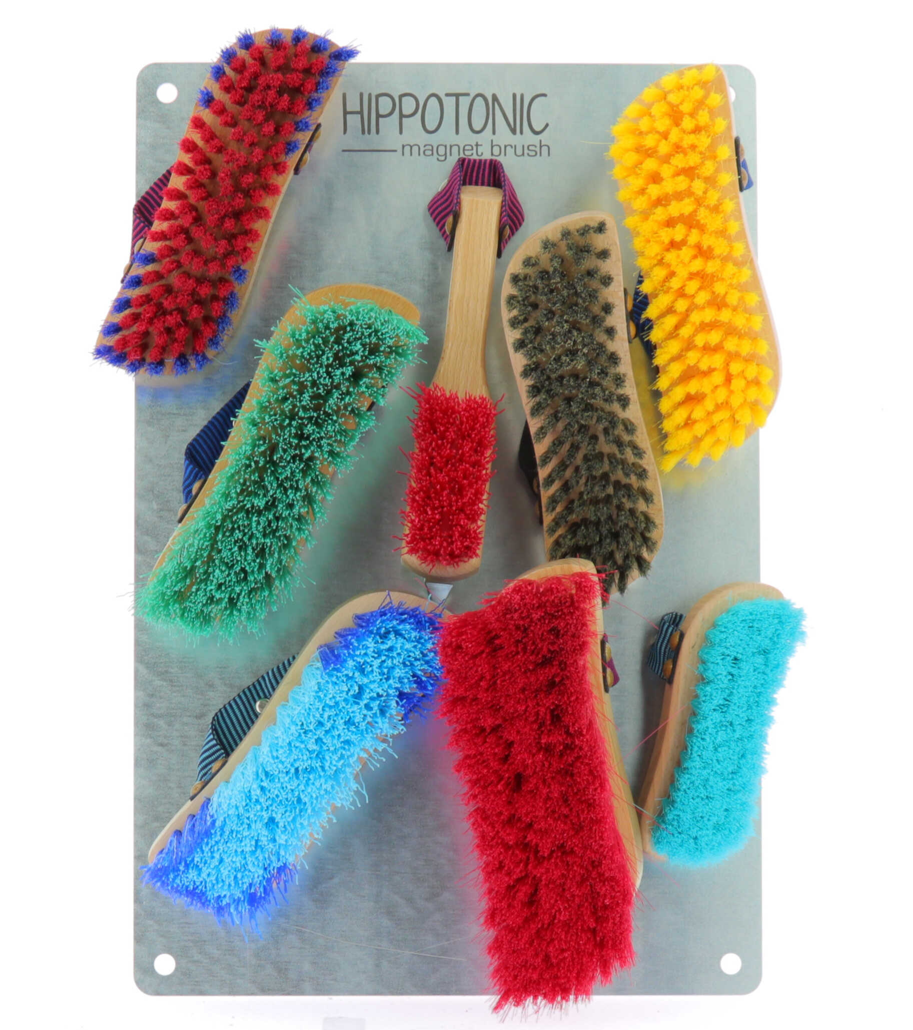 Plaque HIPPOTONIC -Magnet Brush-