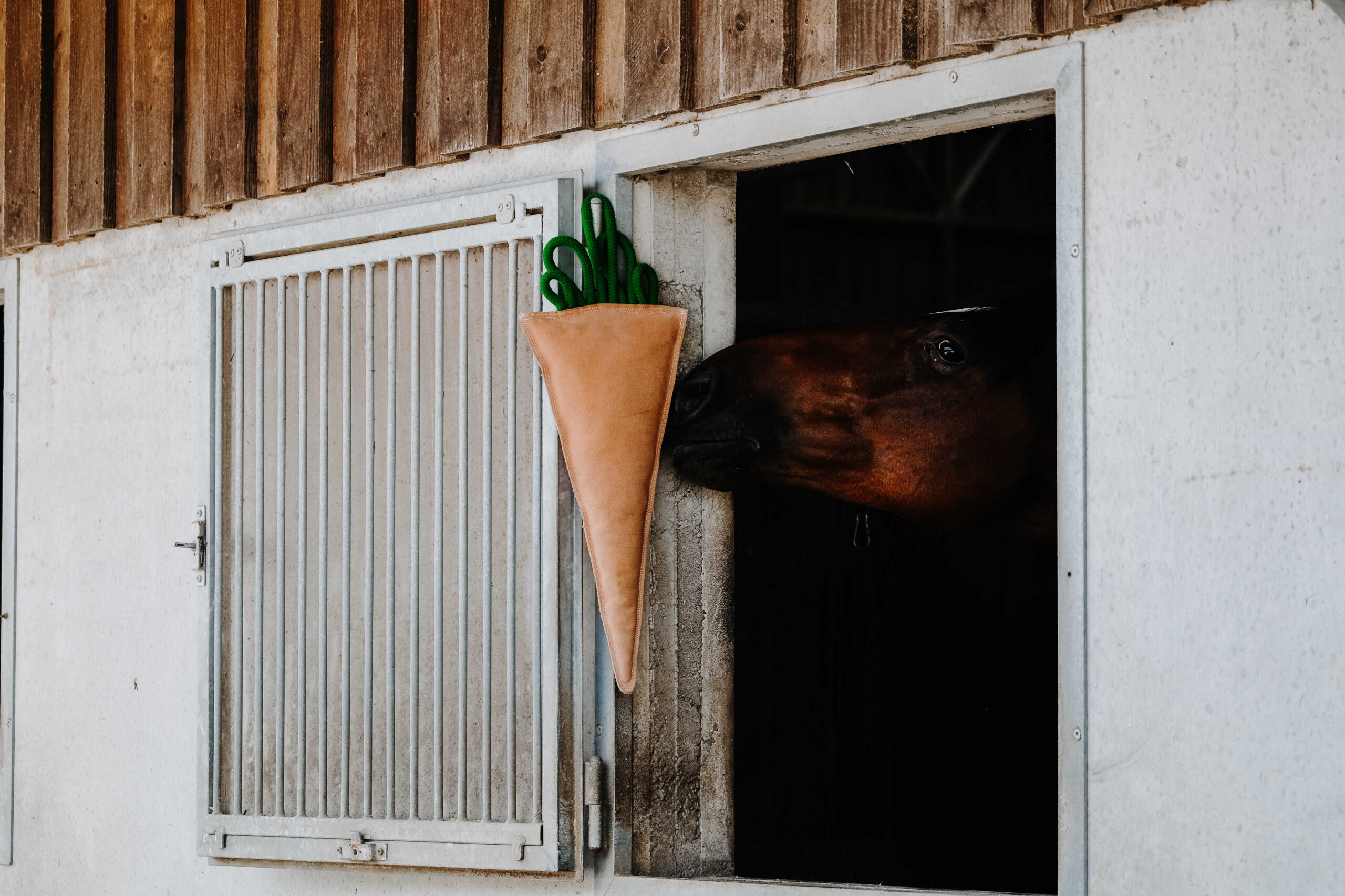 700996022_ambi_1 HIPPOTONIC - Carrot - Toy for horses - Image 1