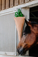 HIPPOTONIC - Carrot - Toy for horses - Image 2