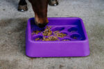 HIPPOTONIC anti-fratt feeding bucket