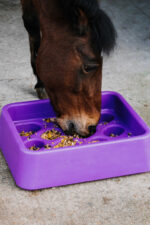 HIPPOTONIC anti-fratt feeding bucket - Image 3