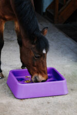 HIPPOTONIC anti-fratt feeding bucket - Image 4