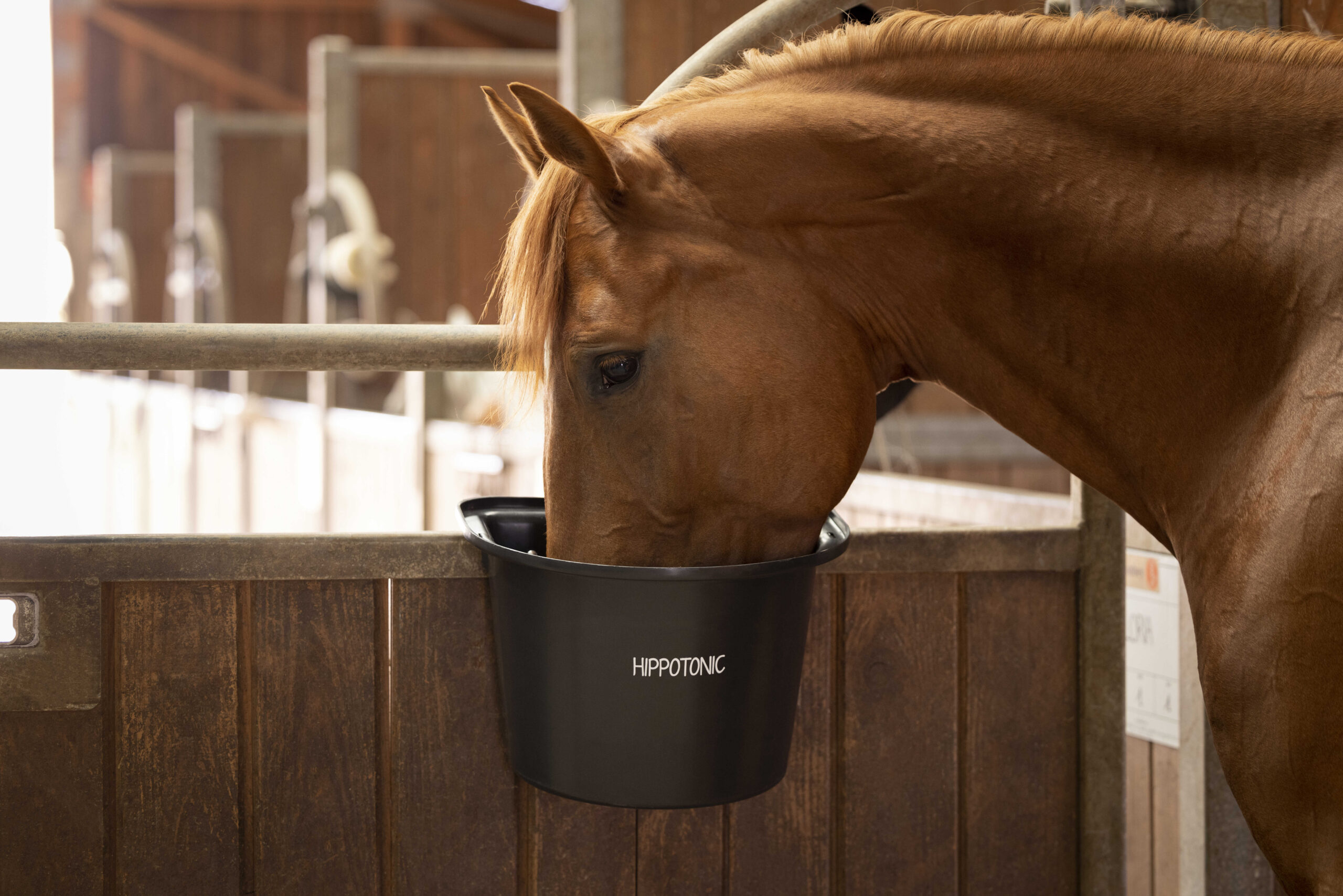 HIPPOTONIC door-mounted feeding bucket